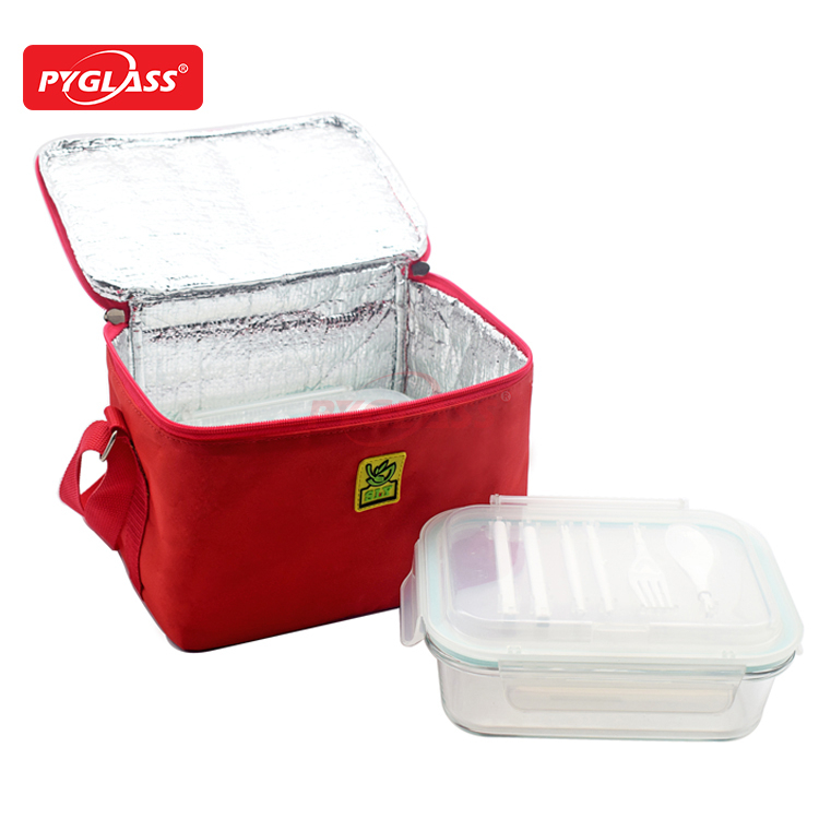Glass Lunch Box with Coller Bag