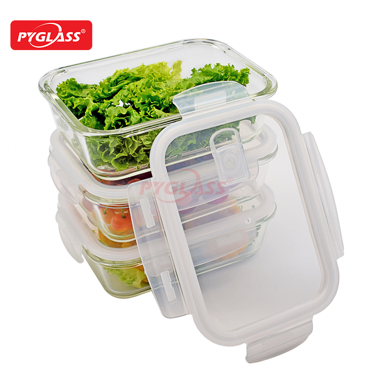 Glass Food Container with Bag
