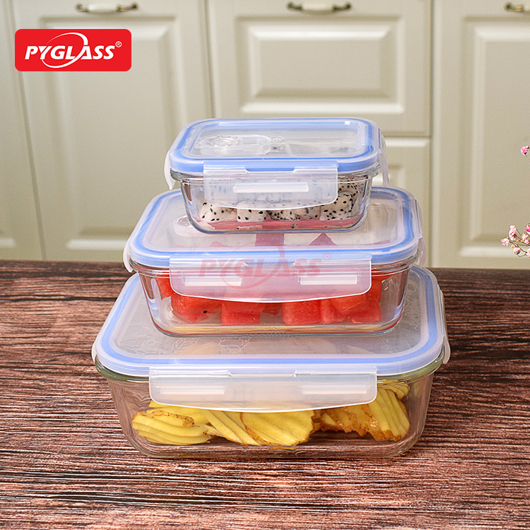 Glass Lunch Box Microwavable Lunch Container Sets
