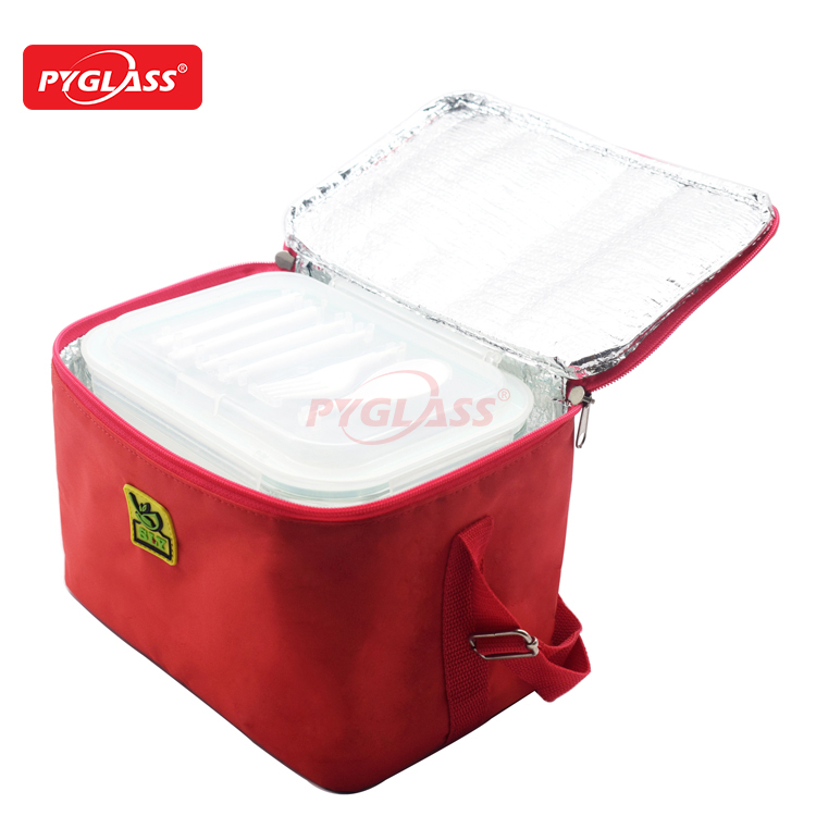 Glass Lunch Box with Coller Bag