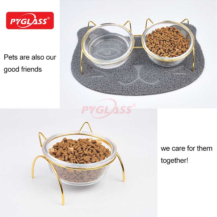Raised Cat Bowls for Food and Water