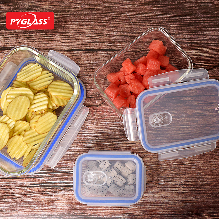 Glass Lunch Box Microwavable Lunch Container Sets