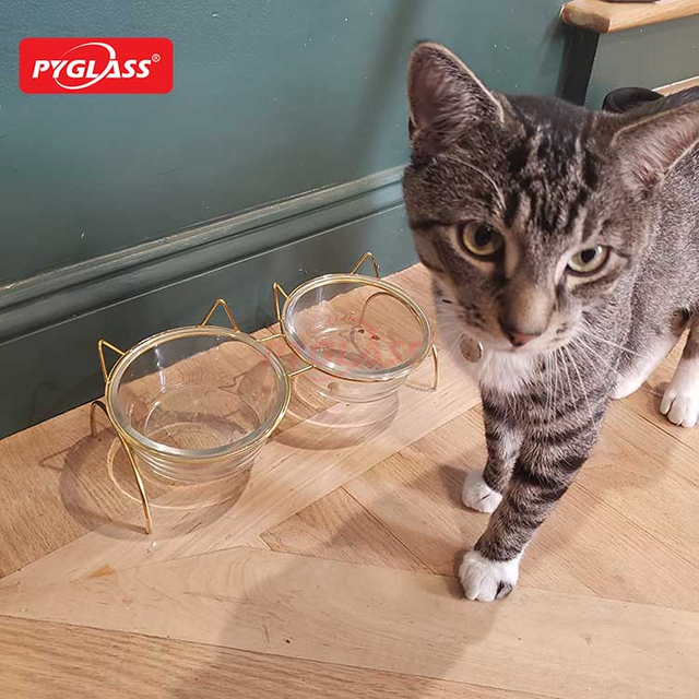 Raised Cat Bowls for Food and Water