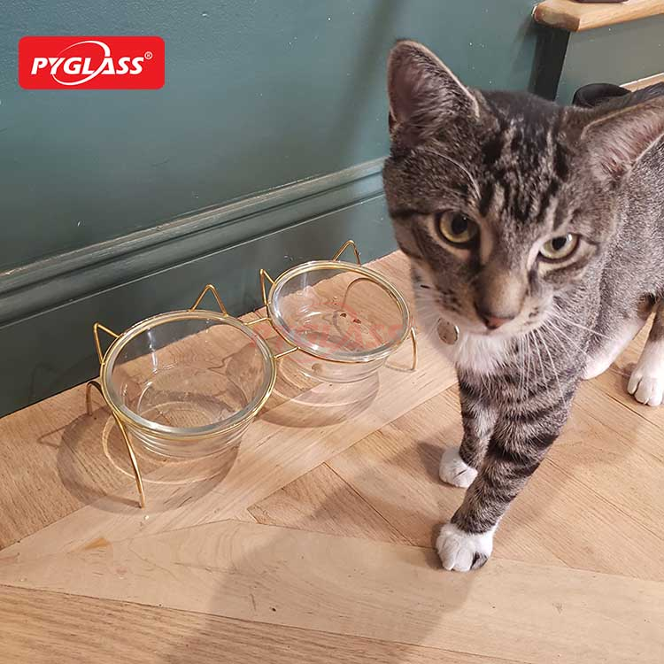 Raised Cat Bowls for Food and Water