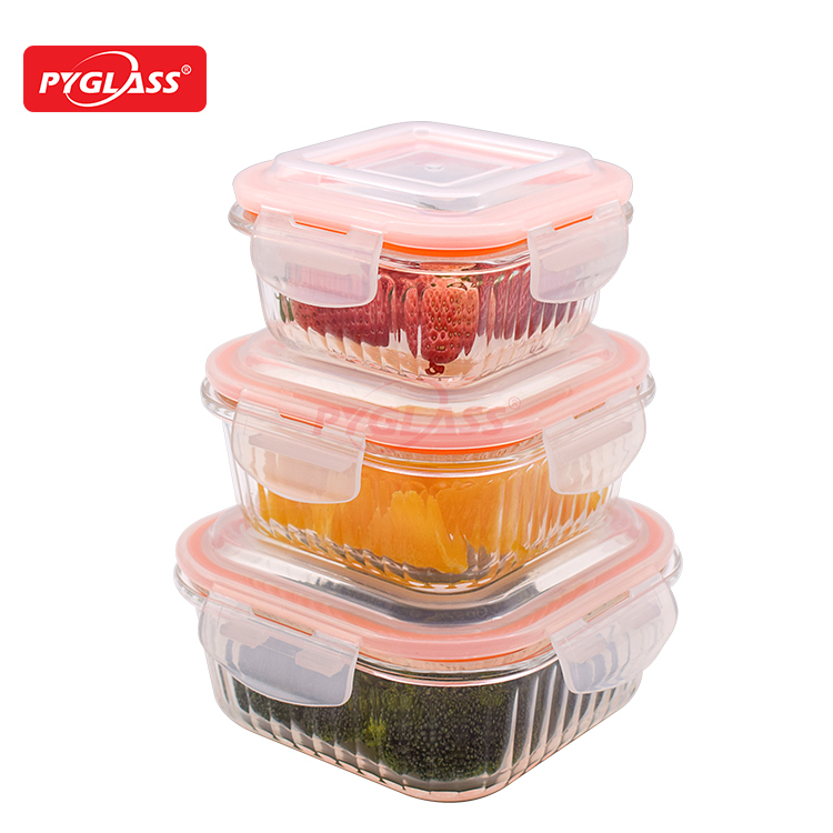 Hot Sale Glass Food Container with PP Lid