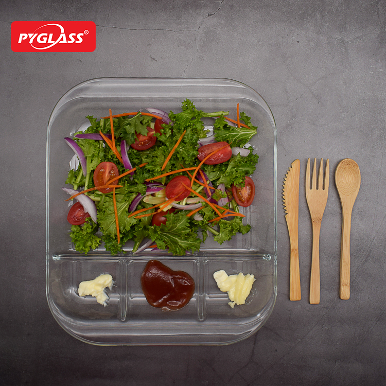 Glass Divided Plate with 4 Compartments