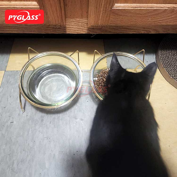 Raised Cat Bowls for Food and Water