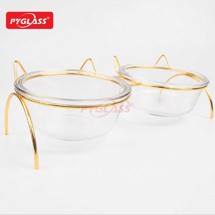 Raised Cat Bowls for Food and Water
