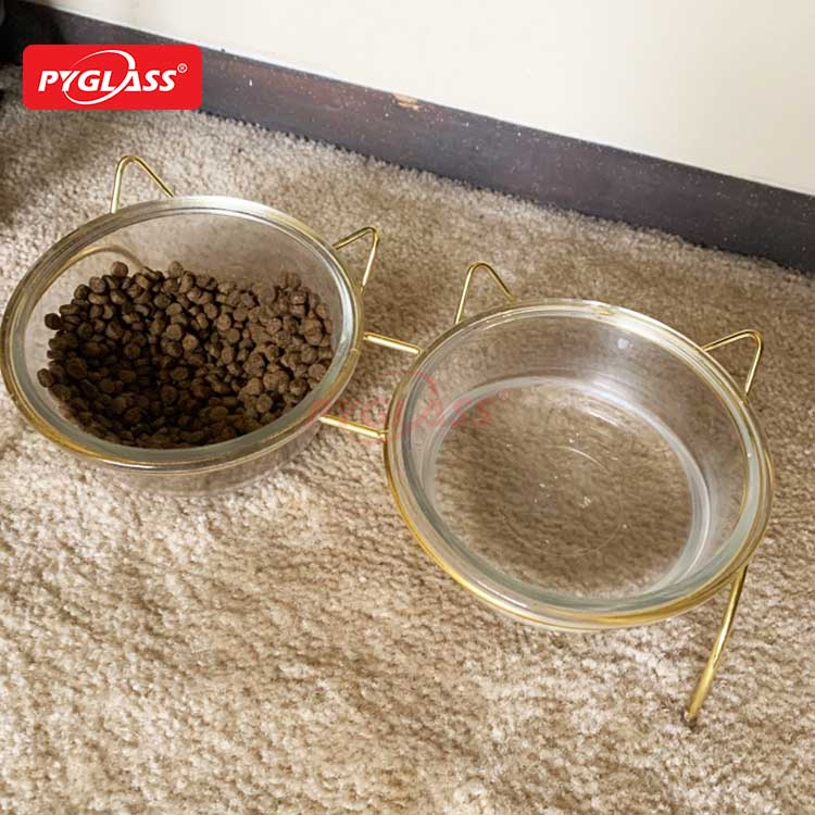 Raised Cat Bowls for Food and Water