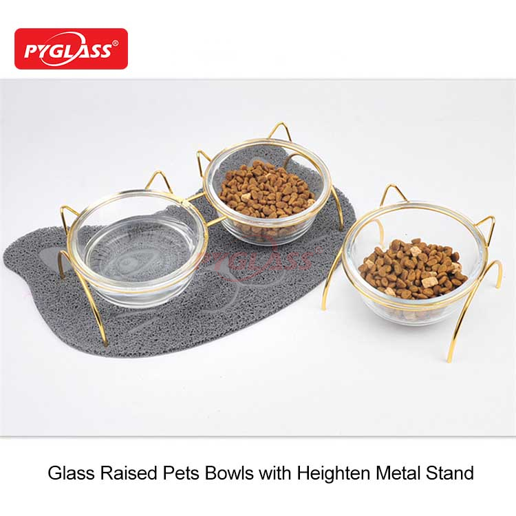 Raised Cat Bowls for Food and Water